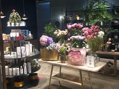 -BEAST野兽派(上海浦东嘉里城店)