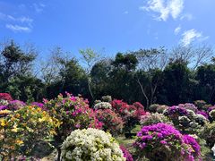 -三亚蜈支洲岛旅游区