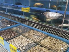 水产区-红高粱大酒店(宁山东路店)