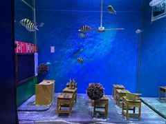 -上海海昌海洋公园