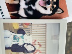 -柴迷FANS CLUB·柴犬狗咖·猫咖