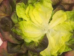 -九孔·筒骨莲藕汤锅(大明宫万达店)