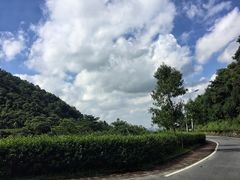 -火炉山森林公园