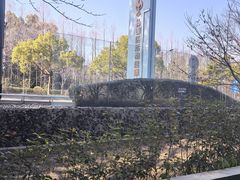 -新江湾城公园