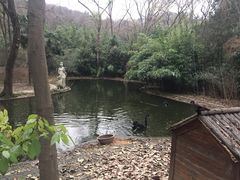 -镇江市南山风景名胜区竹林景区