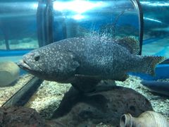 -福州罗源湾海洋世界旅游区