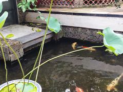 -馨园villa融合菜(东山店)