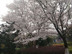 -白马涧龙池景区
