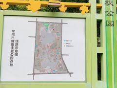 -青枫公园