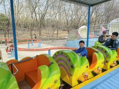 -朝阳公园游乐园