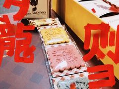 -极斗-IKMF马伽术·格斗运动学院(东直门店)