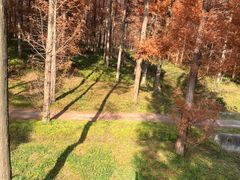 -黄海国家森林公园