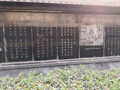 -东方巨龟苑景区