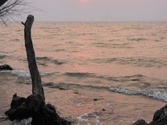 -捞渔河湿地公园