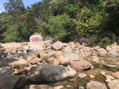 -海南热带雨林国家公园吊罗山景区