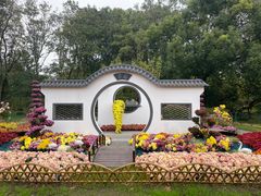 -上海共青森林公园