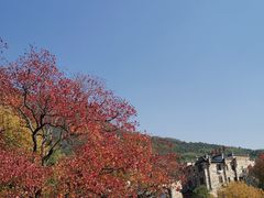 -塔川景区