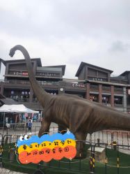 -恐龙探索乐园(磁器口店)