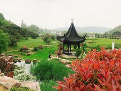 -龙寺生态园