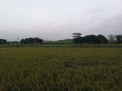 -光明小镇欢乐田园