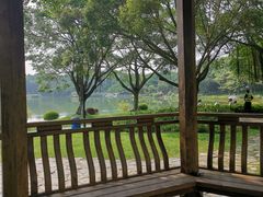 -东莞植物园