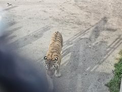 -大连森林动物园