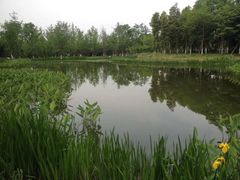 -白鹭湾湿地公园