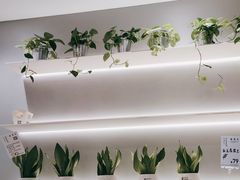 -爱欢洗ifunwash(北辰店)