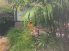-融汇温泉