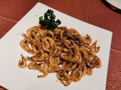 -东方明珠老上海8号餐厅(东方明珠广播电视塔店)