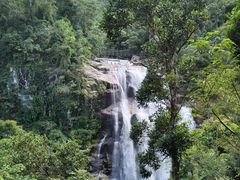 -海南热带雨林国家公园吊罗山景区