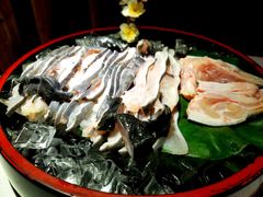 -印象鲵宴·张家界地标美食名片(溪布街店)