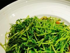 酒香炒豆苗-老头儿油爆虾·知味杭州(爱琴海购物中心)