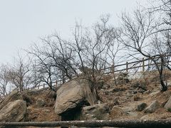 -白水寺森林公园