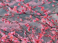 -东钱湖旅游度假区