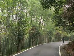 -潜山国家森林公园