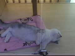 -蜜蜂读书·24h自习室(角门西店)