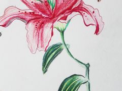 -鼎画艺术机构(贵都店)