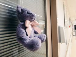 -杭州贝瑞斯美华妇儿医院·早孕·产检·儿科