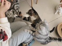 -平行世界·猫咖(首经贸店)