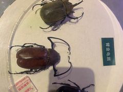 -陕西自然博物馆