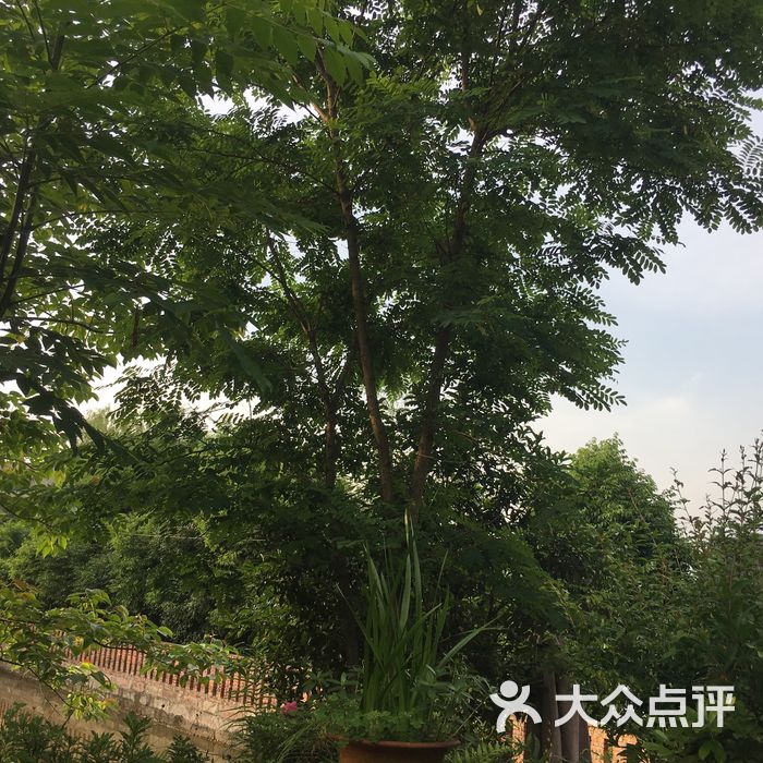 常青藤四季田园