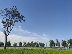 -金沙湖旅游度假区