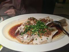 -新白鹿餐厅(松江开元地中海店)