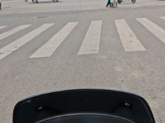 -成都动物园