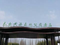 -黄海国家森林公园