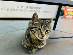 -四川大学华西口腔医院(华西院区)