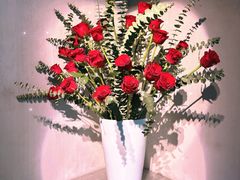 -穹六人间 people 6(岳阳路店)