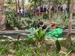 -南宫五洲植物乐园