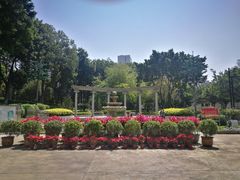 -十九路军淞沪抗日阵亡将士陵园